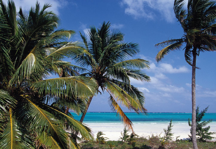 Bahamas Strände - South Andros